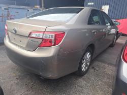 Thumbnail 31