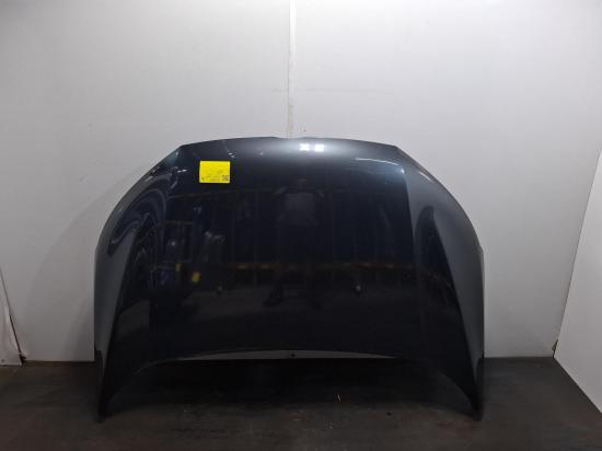 2016 Ford Ecosport — Bonnet