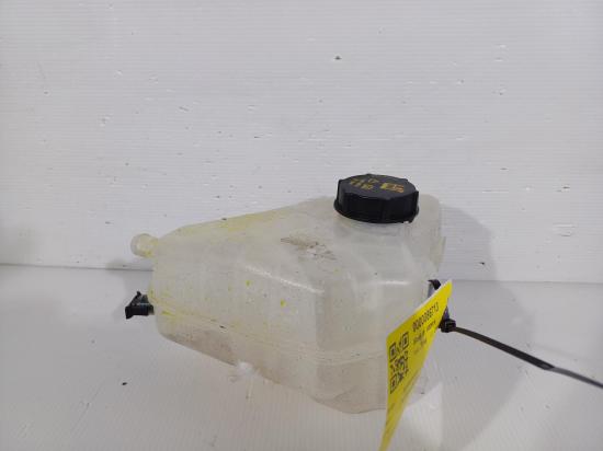 2016 Ford Ecosport — Overflow Bottle